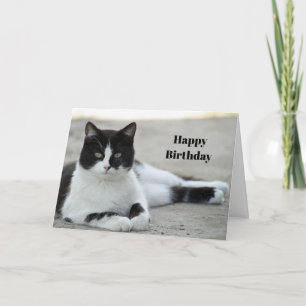 Cat Black en White Tuxedo Foto van Birthday Kaart