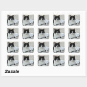 Cat Black en White Tuxedo Photo Vierkante Sticker (Vel)