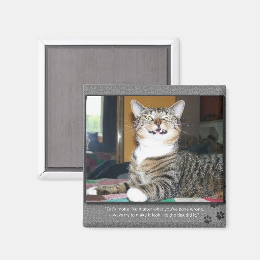 Cat Blames Dog Magneet (Voorkant / Achterkant)