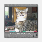 Cat Blames Dog Magneet (Voorkant)