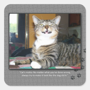 Cat Blames Dog Vierkante Sticker