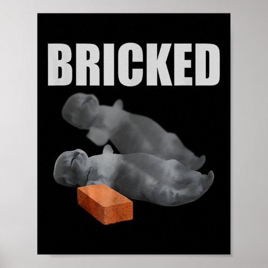 Cat Bricked Funny Knocked Out Meme Gekke Katten Sa Poster (Voorkant)