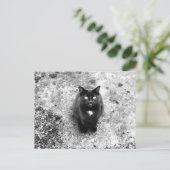 Cat Briefkaart (Staand voorkant)