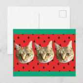 cat briefkaart (Voorkant / Achterkant)