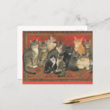 CAT-BRIEFKAART ILLUSTRATIE