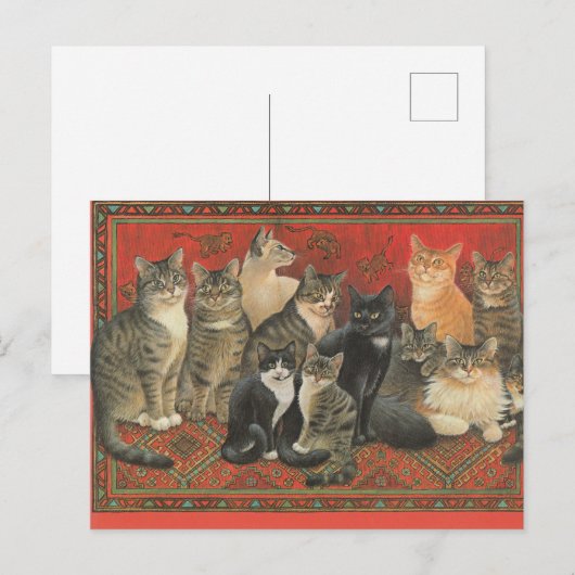 CAT-BRIEFKAART ILLUSTRATIE BRIEFKAART (Voorkant / Achterkant)