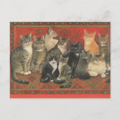 CAT-BRIEFKAART ILLUSTRATIE BRIEFKAART (Voorkant)