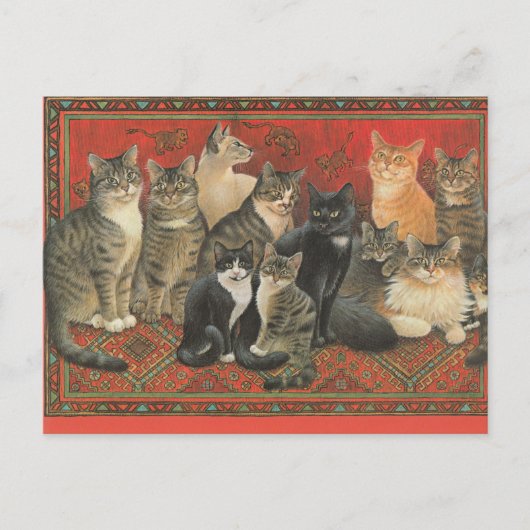CAT-BRIEFKAART ILLUSTRATIE BRIEFKAART (Voorkant)