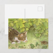 CAT-briefkaarten  Briefkaart (Voorkant / Achterkant)