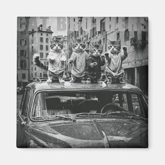 cat brothers magneet