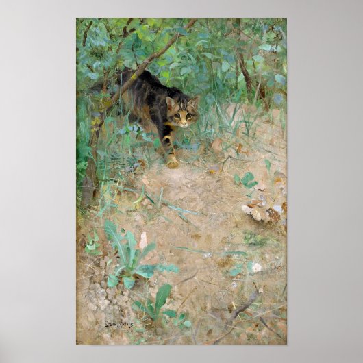 Cat, Bruno Liljefors Poster (Voorkant)