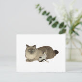Cat Buddies Briefkaart (Staand voorkant)