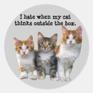 Cat Buiten de doos Sticker