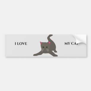 CAT-bumpersticker. Bumpersticker