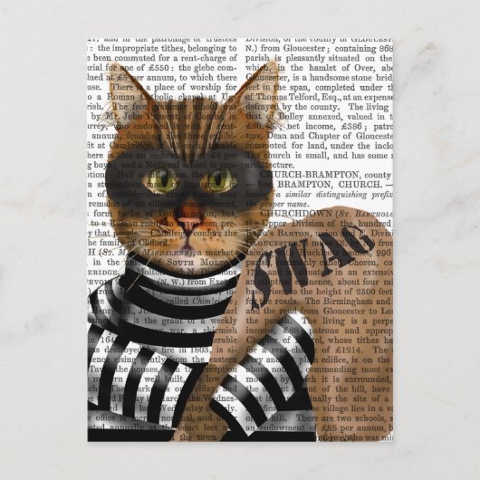 Cat Burglar Briefkaart (Voorkant)