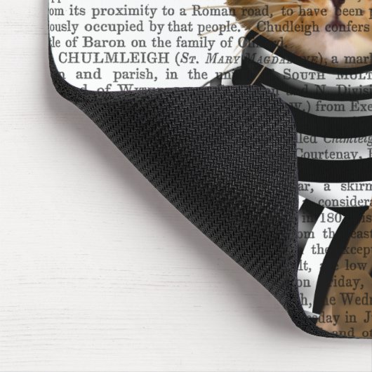 Cat Burglar Muismat (Hoek)