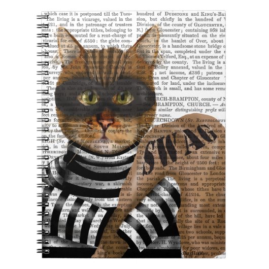 Cat Burglar Notitieboek (Voorkant)