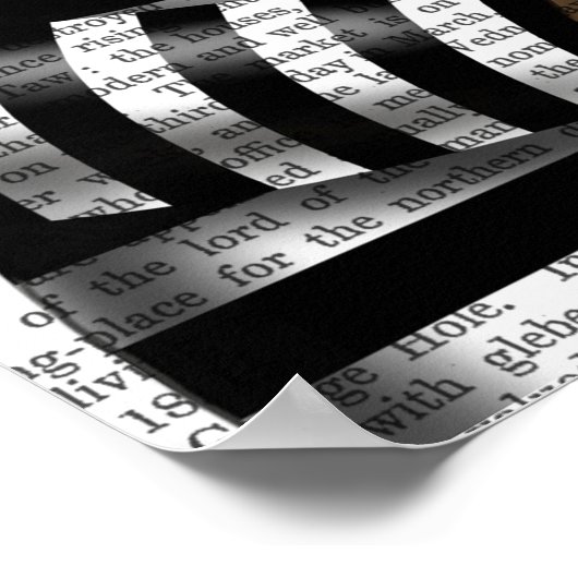 Cat Burglar Poster (Hoek)