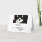 CAT & BUTTERFLY Missing You Card Feestdagen Kaart (Achterkant)