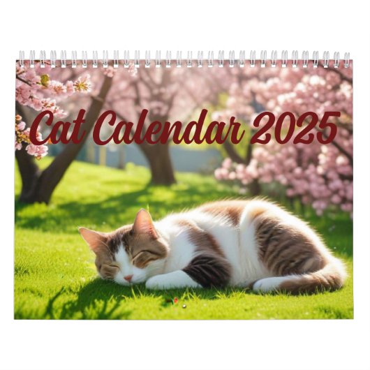 Cat Calendar 2025 Kalender (Hoes)