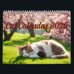 Cat Calendar 2025 Kalender<br><div class="desc">Beautiful calendar with cats in all seasons!</div>