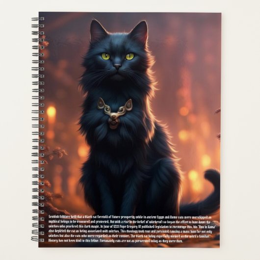 Cat Calendar Planner (Voorkant)
