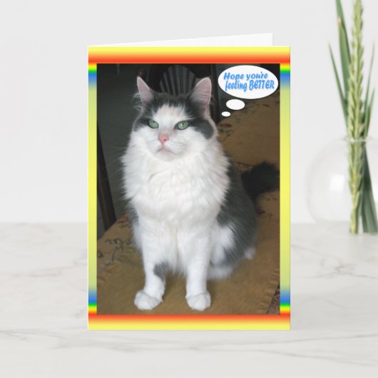 Cat Cards, grappig, goed Kaart (Voorkant)