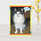 Cat Cards, grappig, goed Kaart (Gele Bloem)
