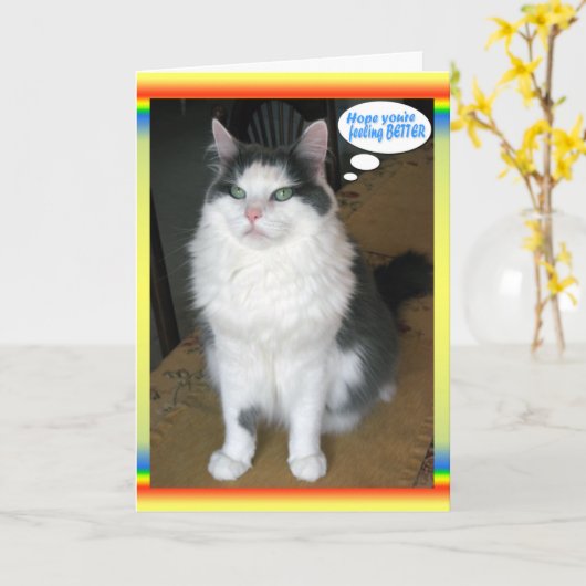 Cat Cards, grappig, goed Kaart (Gele Bloem)