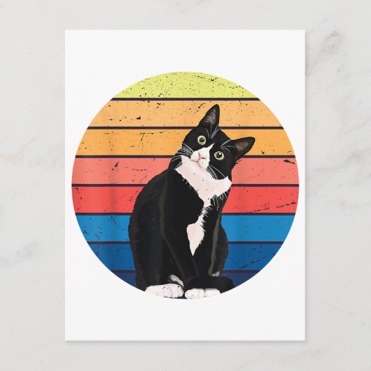 Cat Cat Cat Cat Retro-kleuren voor Dierenvrienden Informatiekaartje (Voorkant)