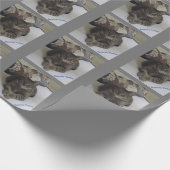 Cat Cat Cat Cat Wrapping Paper Cadeaupapier (Hoek)