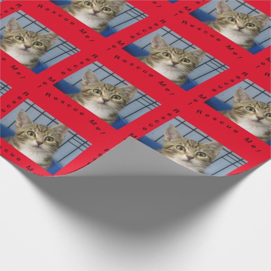 Cat Cat Cat Cat Wrapping Paper Cadeaupapier (Hoek)