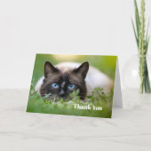 Cat Cat Cat Cute Siamese Bedankkaart (Voorkant)