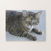 Cat Cat Foto Cute Tabby Legpuzzel (Horizontaal)