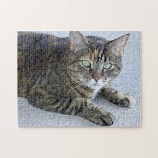 Cat Cat Foto Cute Tabby Legpuzzel (Horizontaal)