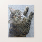 Cat Cat Foto Cute Tabby Legpuzzel (Verticaal)