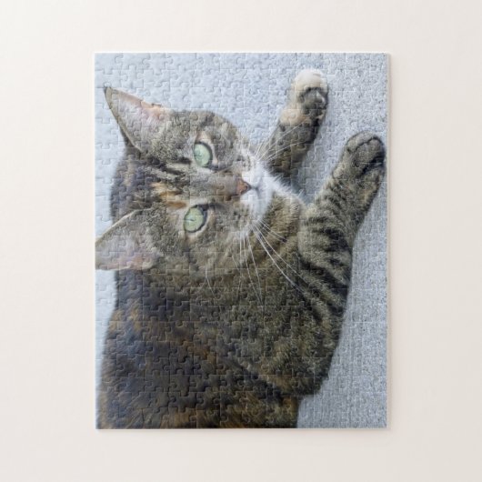 Cat Cat Foto Cute Tabby Legpuzzel (Verticaal)