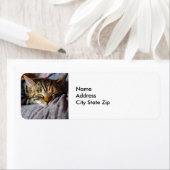 Cat Cat Foto van Cute Slaping Tablet Etiket (Insitu)