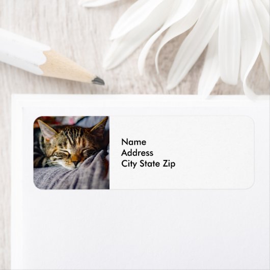 Cat Cat Foto van Cute Slaping Tablet Etiket (Insitu)