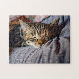 Cat Cat Foto van Cute Slaping Tablet Legpuzzel
