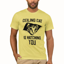 Cat Cat kijkt naar je.