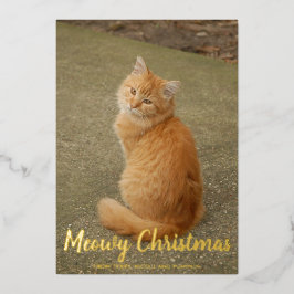 Cat. Cat. Meowy kerstGold Folie Feestdagenkaart
