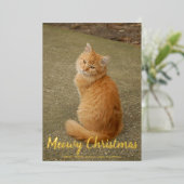 Cat. Cat. Meowy kerstGold Folie Feestdagenkaart (Staand Voorkant)