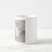 Cat Cat Mok Cute Ragdoll (Center)