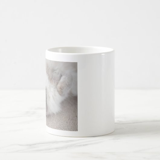 Cat Cat Mok Cute Ragdoll (Center)