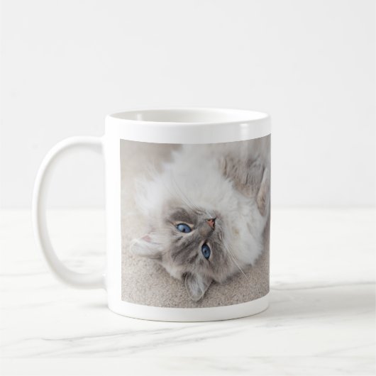 Cat Cat Mok Cute Ragdoll (Links)