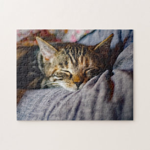 Cat Cat Photo Cat Legpuzzel