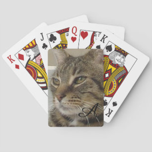 Cat Cat Photo Monogram Cute Tabby Pokerkaarten