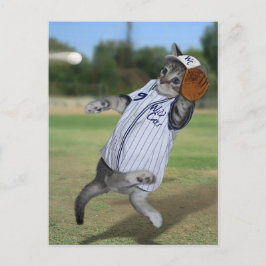 Cat Catcher in het Outfield! Briefkaart