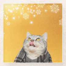 Cat Catching Sneeuwvlokken Winterglas Onderzetter